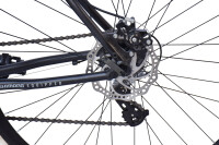WYNN Gravelbike 28 Zoll GRL3.0 grau Rahmenhöhe 54 cm Damen Herren 14 Gänge