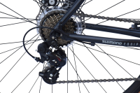 WYNN Gravelbike 28 Zoll GRL3.0 grau Damen Herren 14...