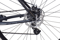 WYNN Gravelbike 28 Zoll GRL3.0 grau Damen Herren 14 Gänge