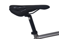 CHILLIZ Rennrad 28 Zoll RDB2.0 grau Damen Herren 14 Gänge