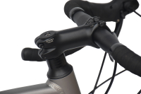 CHILLIZ Rennrad 28 Zoll RDB2.0 grau Damen Herren 14 Gänge