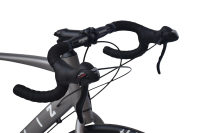CHILLIZ Rennrad 28 Zoll RDB2.0 grau Damen Herren 14 Gänge