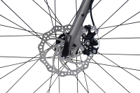 CHILLIZ Rennrad 28 Zoll RDB2.0 grau Damen Herren 14 Gänge