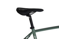 CHILLIZ Rennrad 28 Zoll RDB2.0 grün Damen Herren 14 Gänge