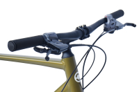 CHILLIZ Gravelbike 28 Zoll GL.09 grün Damen Herren 16 Gänge mech. Scheibenbremse Schutzbleche