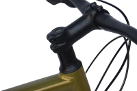 CHILLIZ Gravelbike 28 Zoll GL.09 grün Damen Herren 16 Gänge mech. Scheibenbremse Schutzbleche