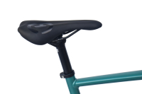 CHILLIZ Gravelbike 28 Zoll GL.08 grün Damen Herren 16 Gänge mech. Scheibenbremse Schutzbleche